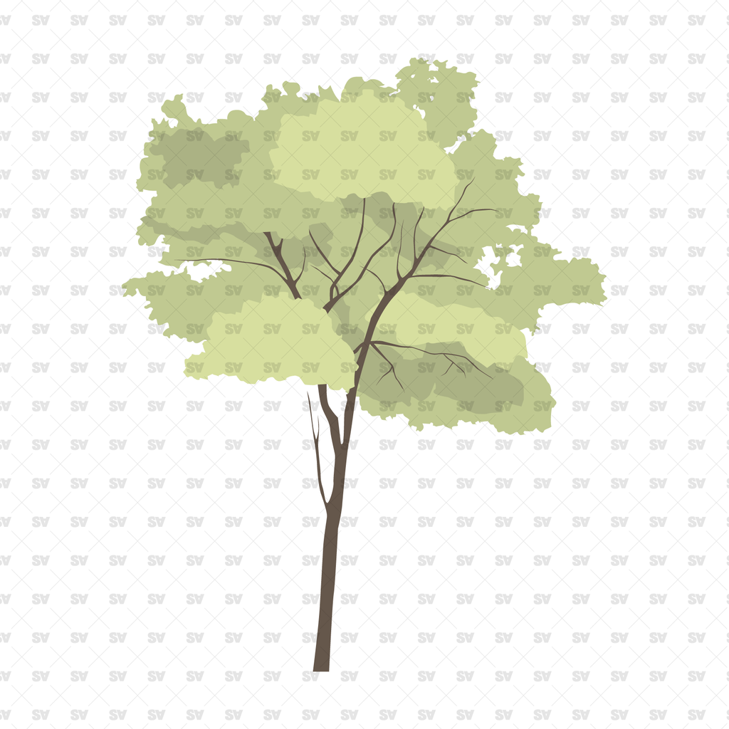 Pack of 12 Illustrated flat vector trees & plants | Download AI & PNG ...