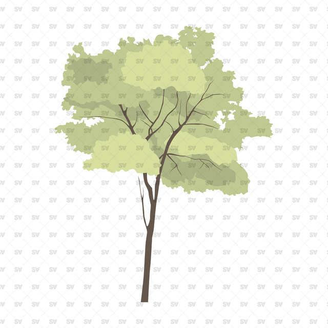 Flat Vector Trees & Plants