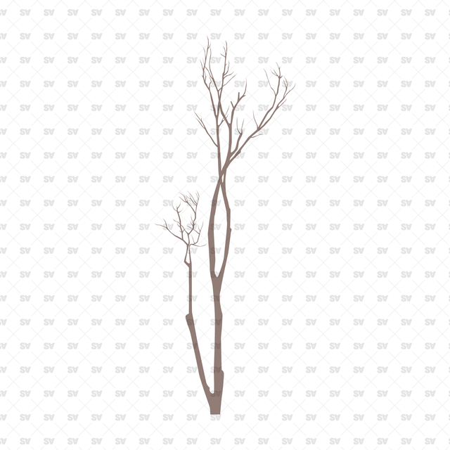 Flat Vector Trees & Plants