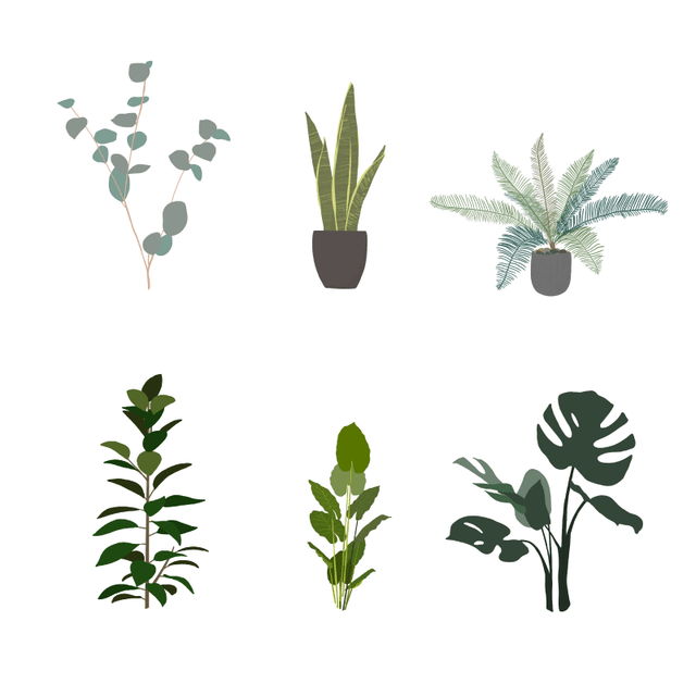 free vector plants 