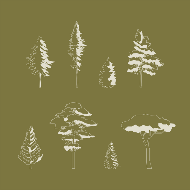 cad blocks pine trees free download