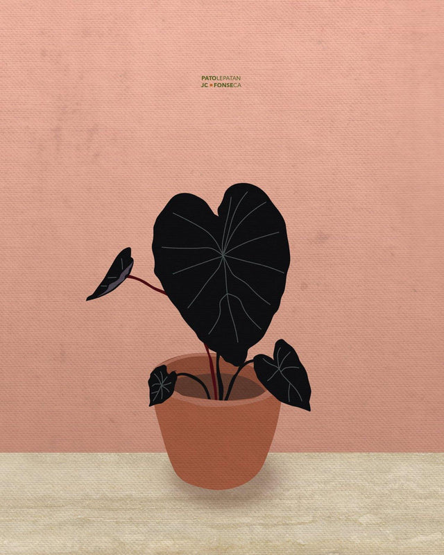 black plant free download