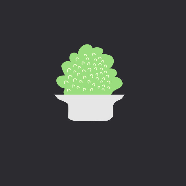 Plants Illustrations (10 Plants)-Vectors-Studio Alternativi