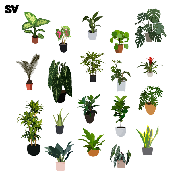 flat vector plants