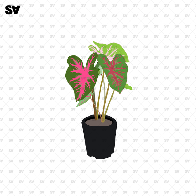 potted plants flat vector 