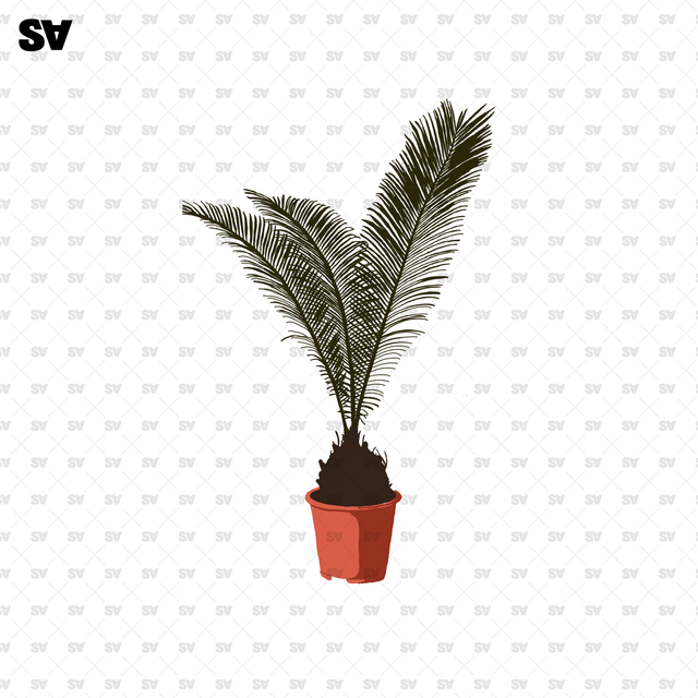 potted plants flat vector 