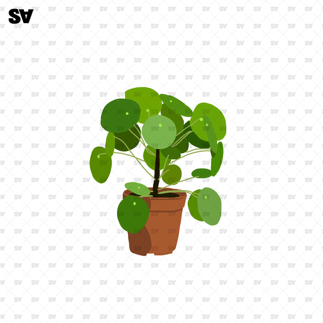 plant vector png