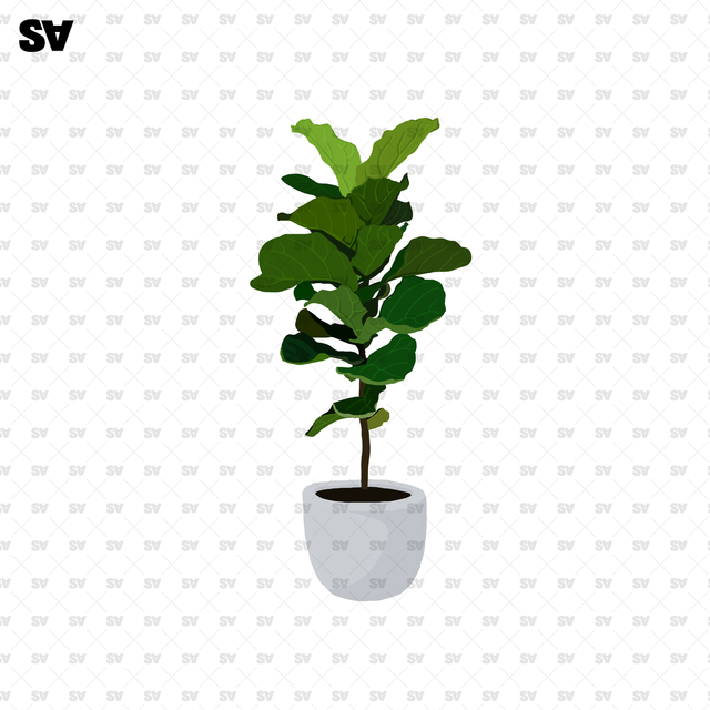 png plants for photoshop