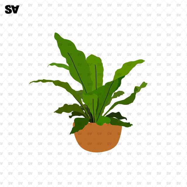 png plants for photoshop