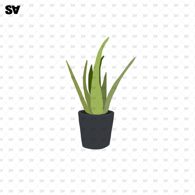 flat vector potted plants