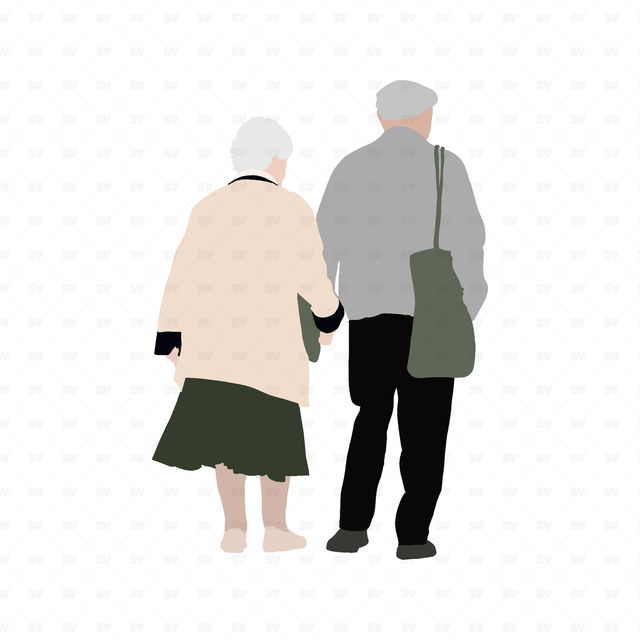 flat vector old couple