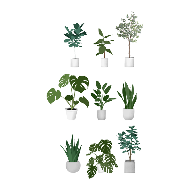 flat vector plants 