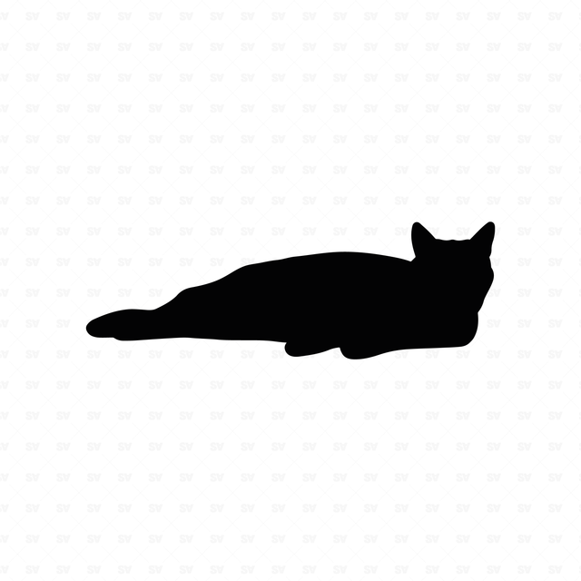 flat vector cat black
