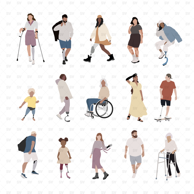 flat vector disabled people